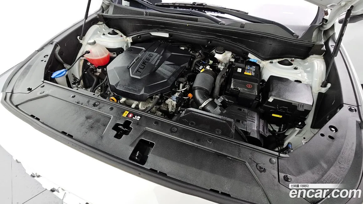 Hyundai Santafe 2021 из KR, фото 6
