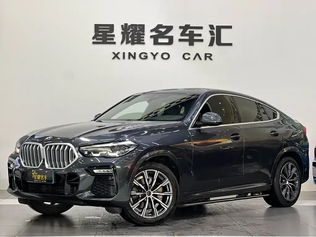BMW X6