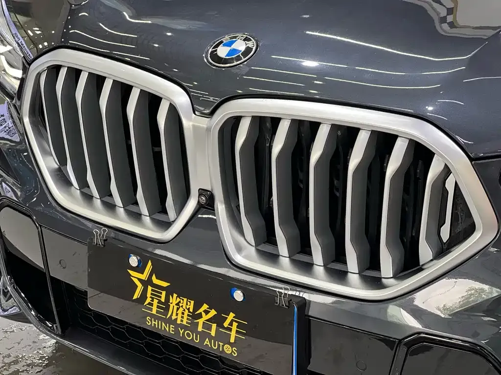 BMW X6 2021 из CN, фото 5