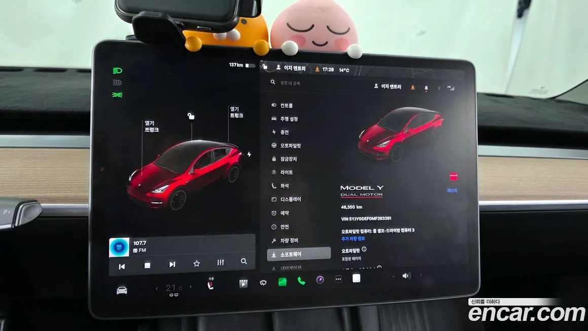 Tesla Model Y 2021 из KR, фото 8