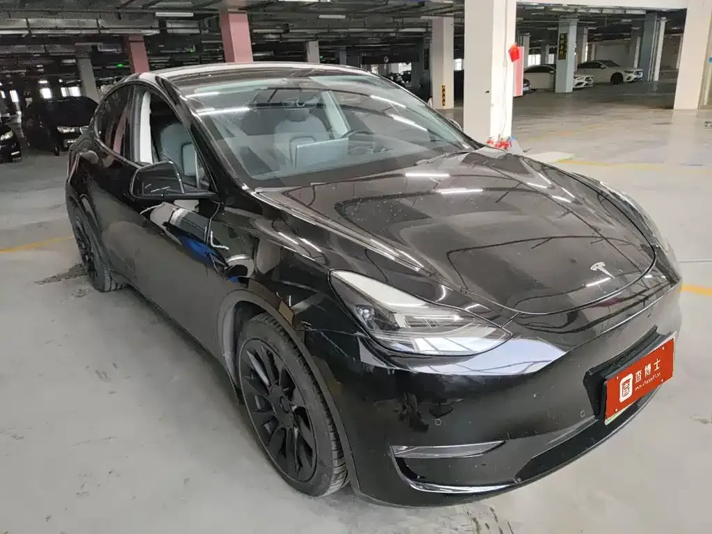 Tesla Model Y — фото 2