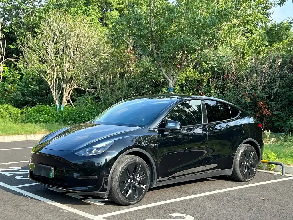 Tesla Model Y 2021 из CN, фото 1