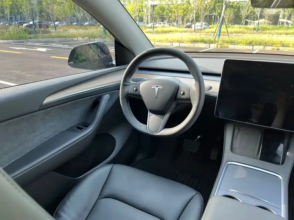 Tesla Model Y 2021 из CN, фото 10