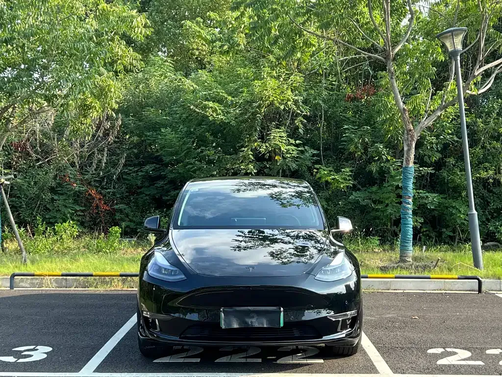 Tesla Model Y 2021 из CN, фото 2