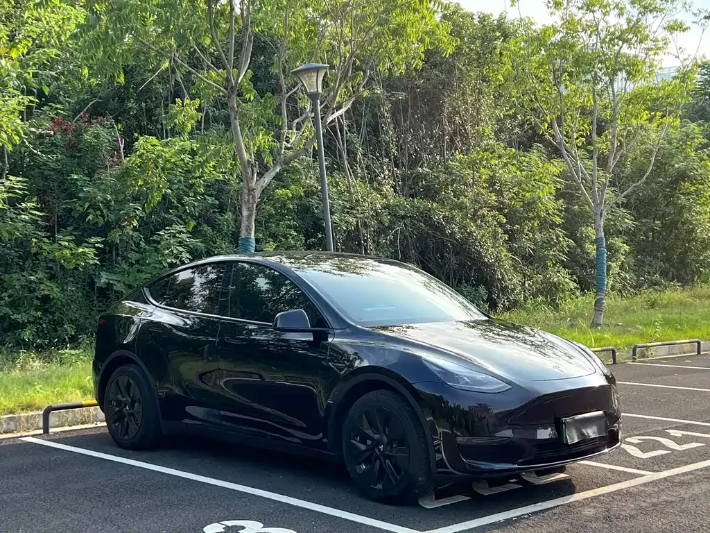 Tesla Model Y 2021 из CN, фото 3