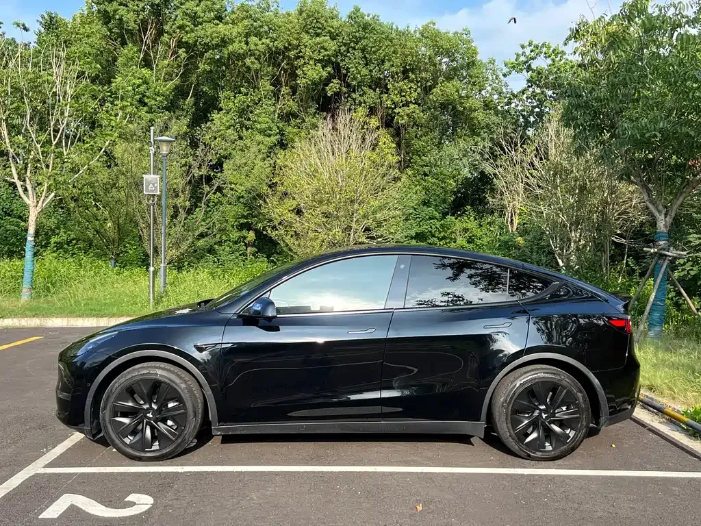 Tesla Model Y 2021 из CN, фото 4