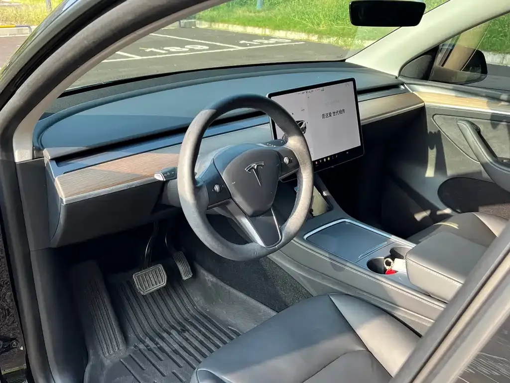 Tesla Model Y 2021 из CN, фото 6