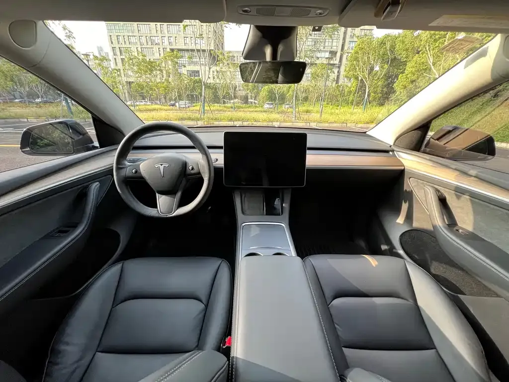 Tesla Model Y 2021 из CN, фото 9