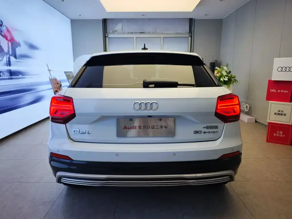 Audi Q2L e-tron 2021 из CN, фото 4