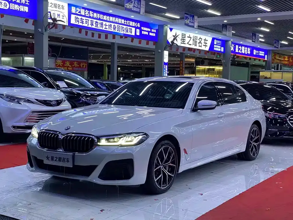 BMW 5 Series 2021 из CN, фото 1