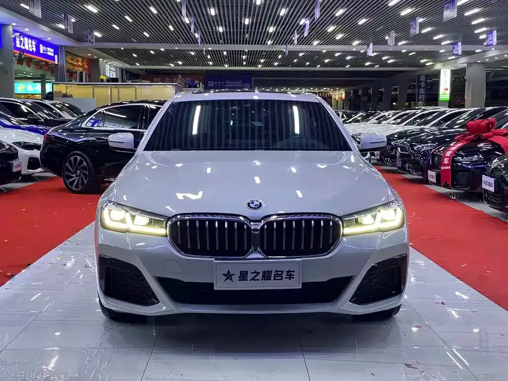 BMW 5 Series 2021 из CN, фото 3