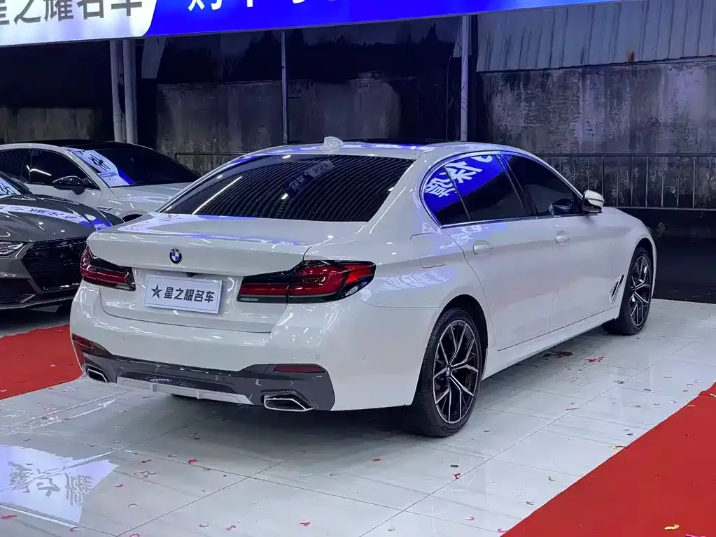 BMW 5 Series 2021 из CN, фото 4