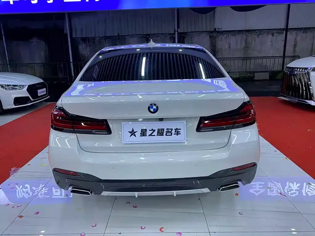 BMW 5 Series 2021 из CN, фото 5