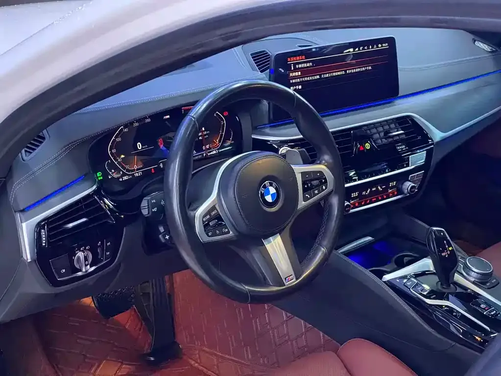 BMW 5 Series 2021 из CN, фото 9