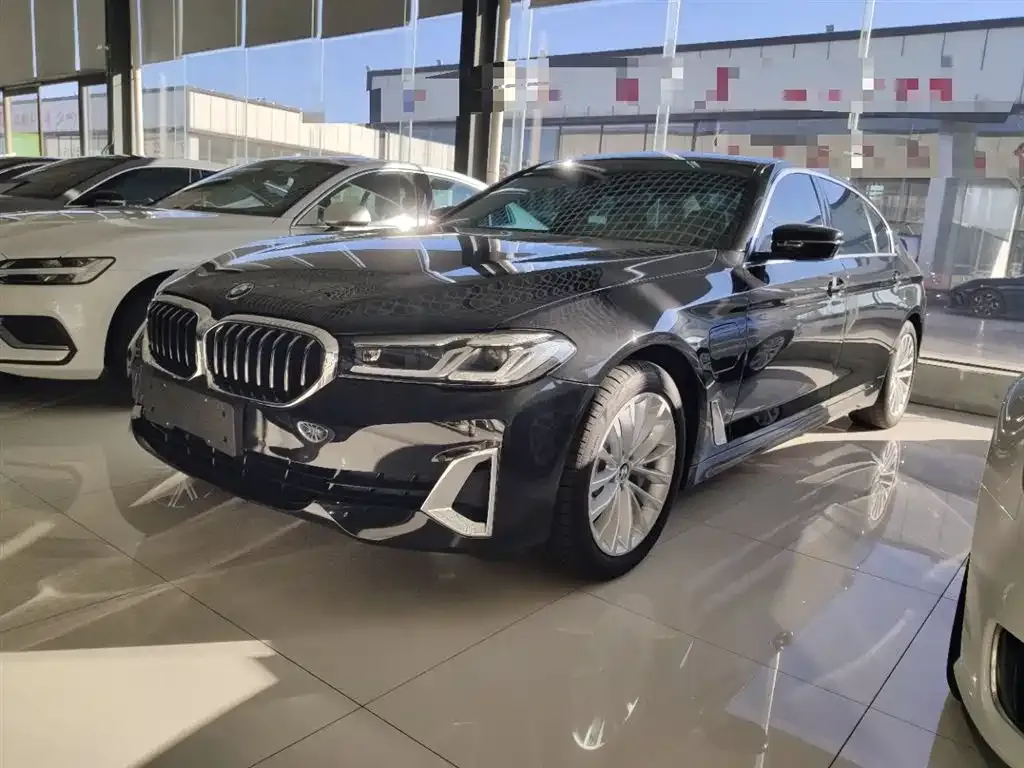 BMW 5 Series New Energy 2021 из CN, фото 2