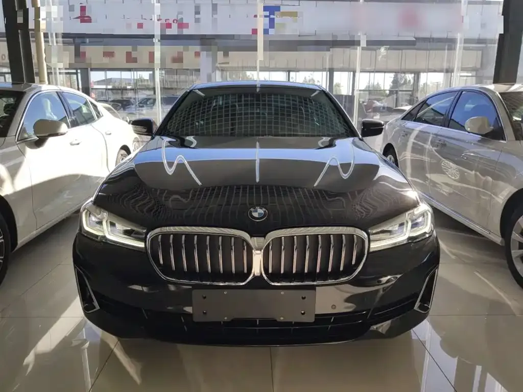 BMW 5 Series New Energy 2021 из CN, фото 3