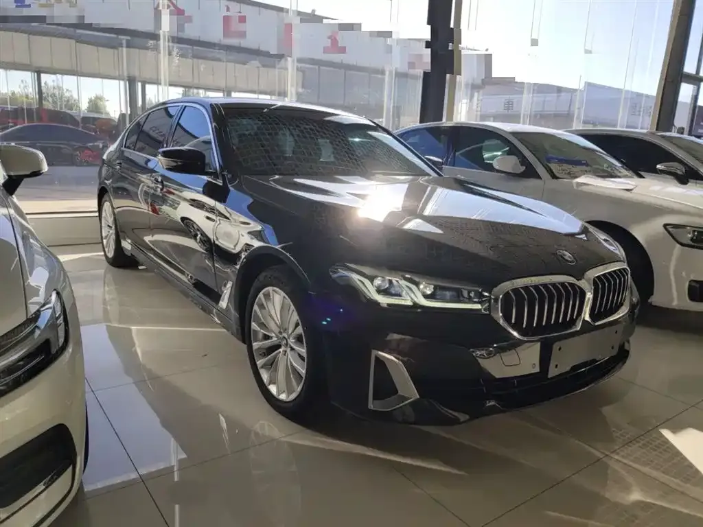 BMW 5 Series New Energy 2021 из CN, фото 4