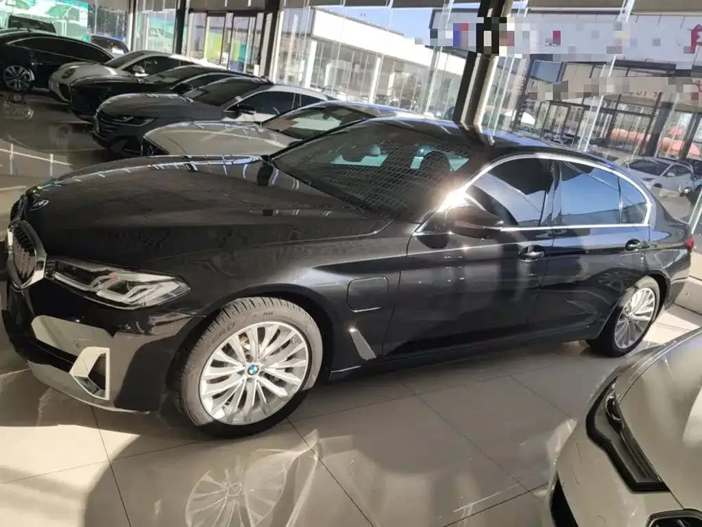 BMW 5 Series New Energy 2021 из CN, фото 5