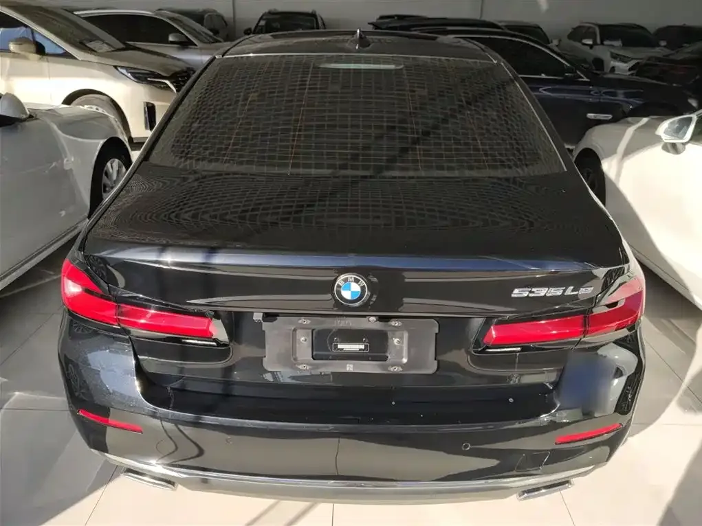 BMW 5 Series New Energy 2021 из CN, фото 6