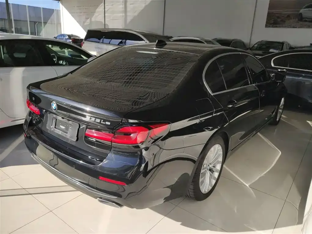 BMW 5 Series New Energy 2021 из CN, фото 7