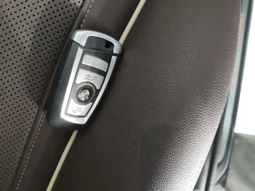 BMW 5 Series New Energy 2021 из CN, фото 9
