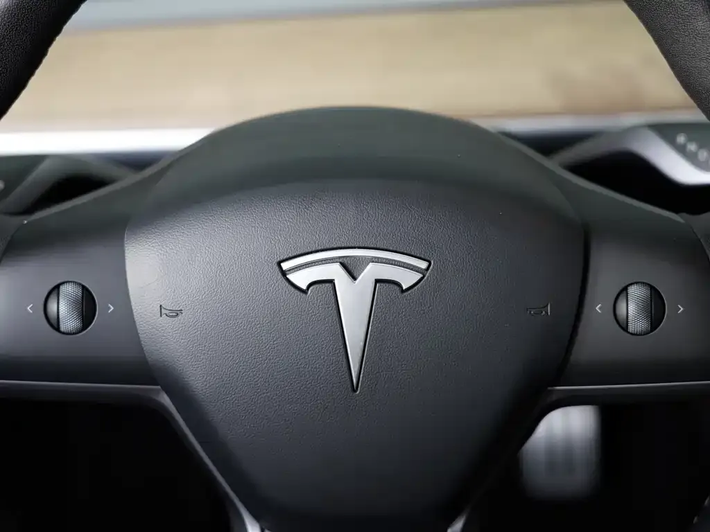 Tesla Model 3 2021 из CN, фото 10
