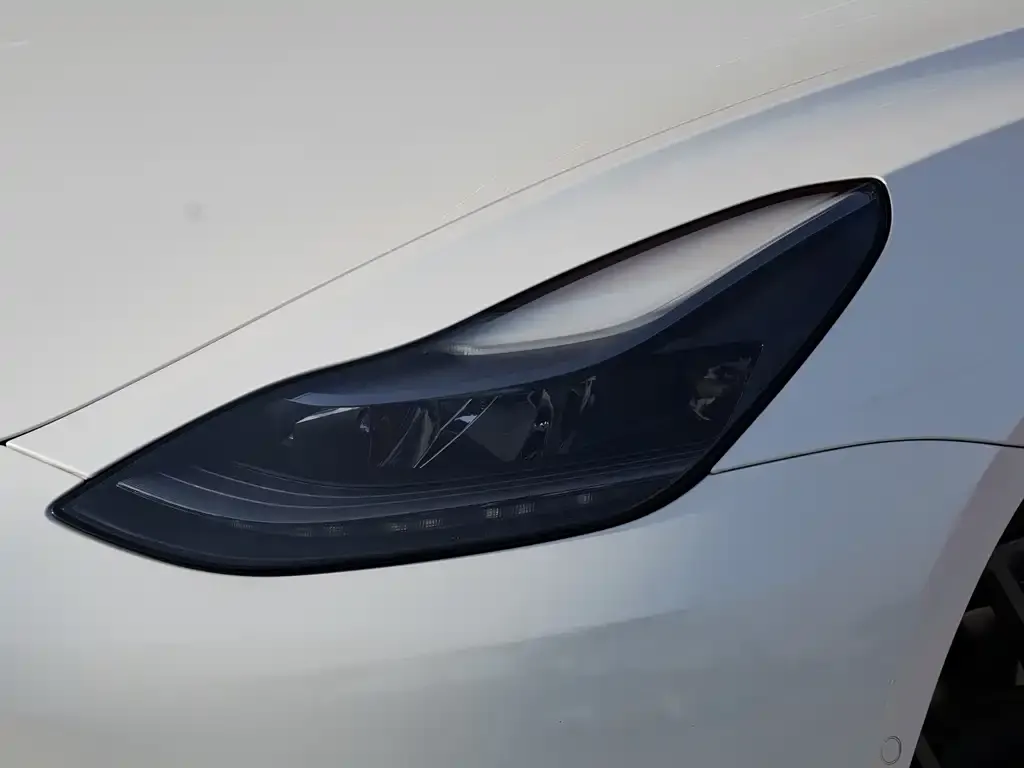 Tesla Model 3 2021 из CN, фото 3