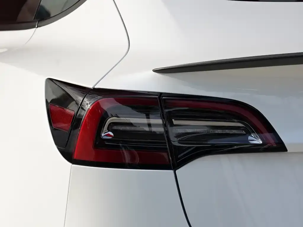 Tesla Model 3 2021 из CN, фото 4