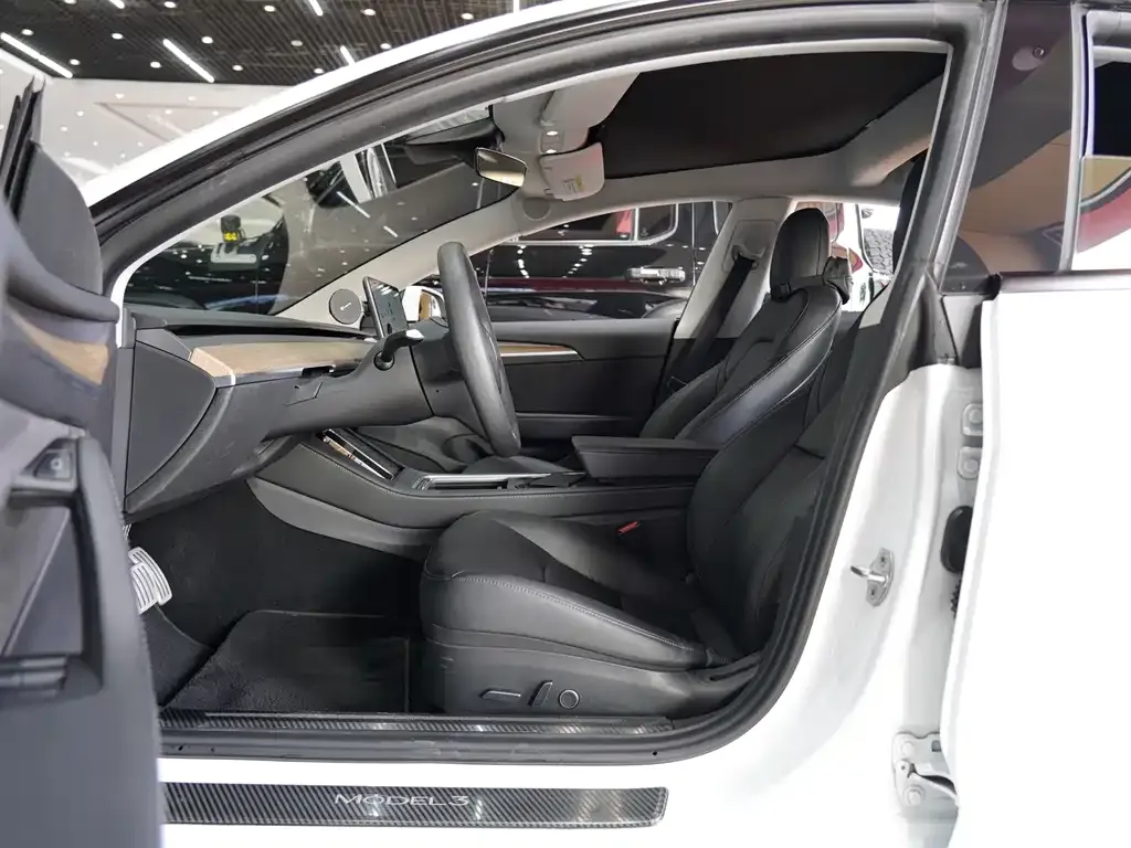 Tesla Model 3 2021 из CN, фото 5