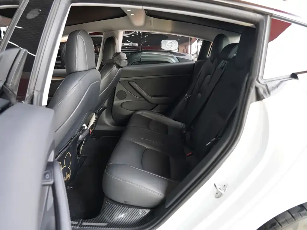 Tesla Model 3 2021 из CN, фото 6