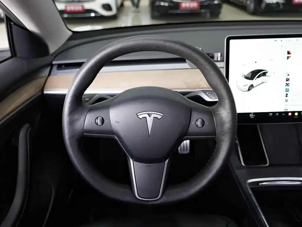 Tesla Model 3 2021 из CN, фото 9