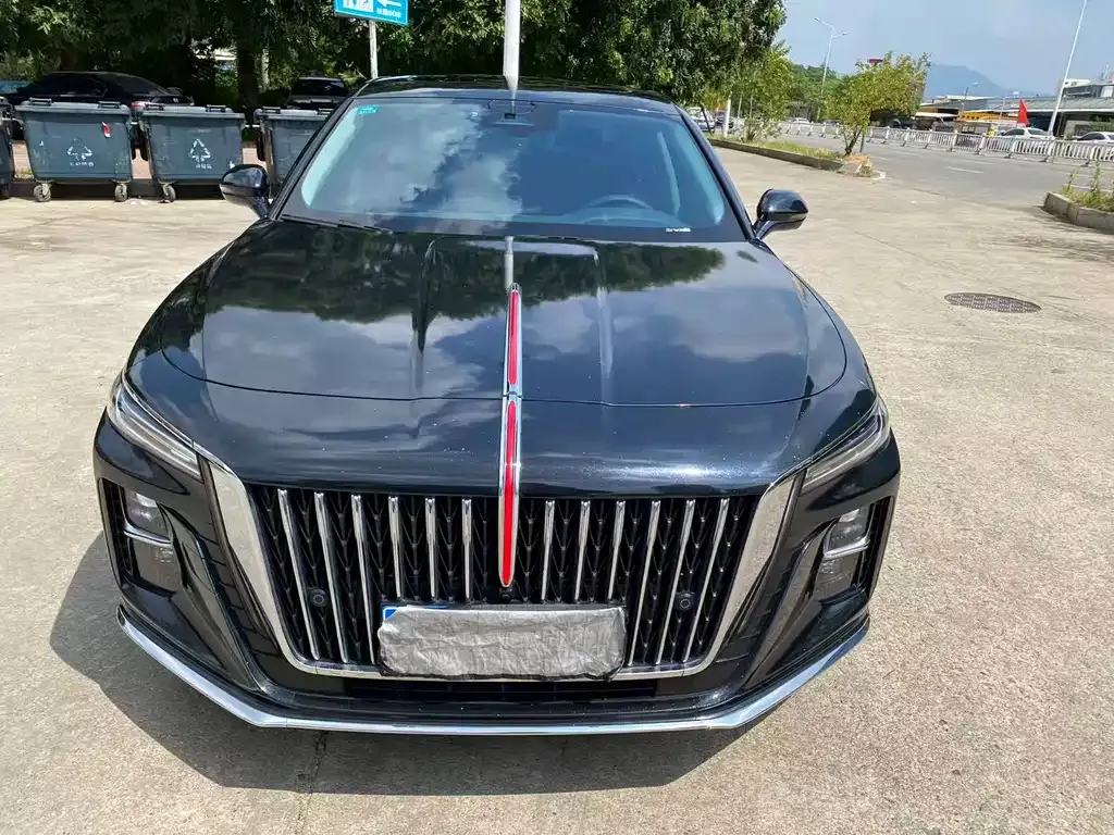 Hongqi H5 2023 из CN, фото 2