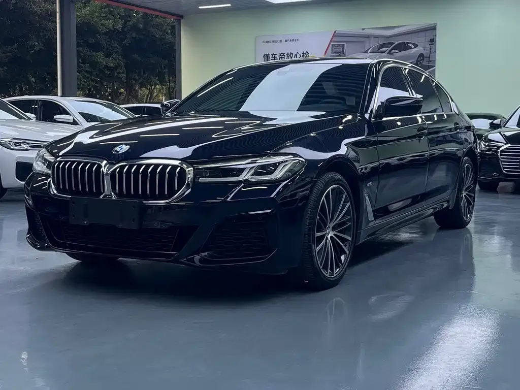 BMW 5 Series 2022 из CN, фото 1