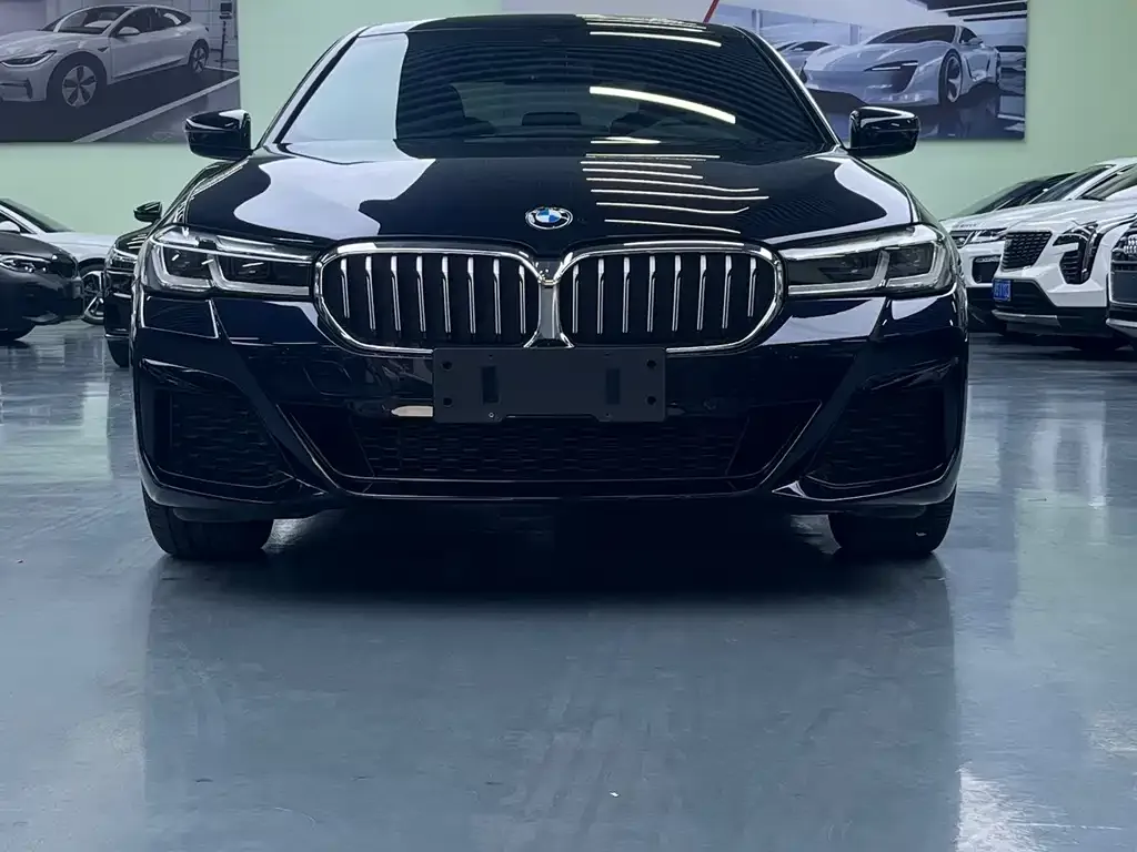 BMW 5 Series 2022 из CN, фото 2