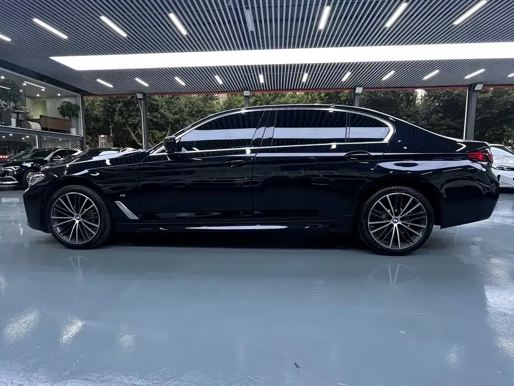 BMW 5 Series 2022 из CN, фото 3