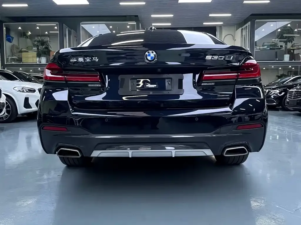 BMW 5 Series 2022 из CN, фото 8