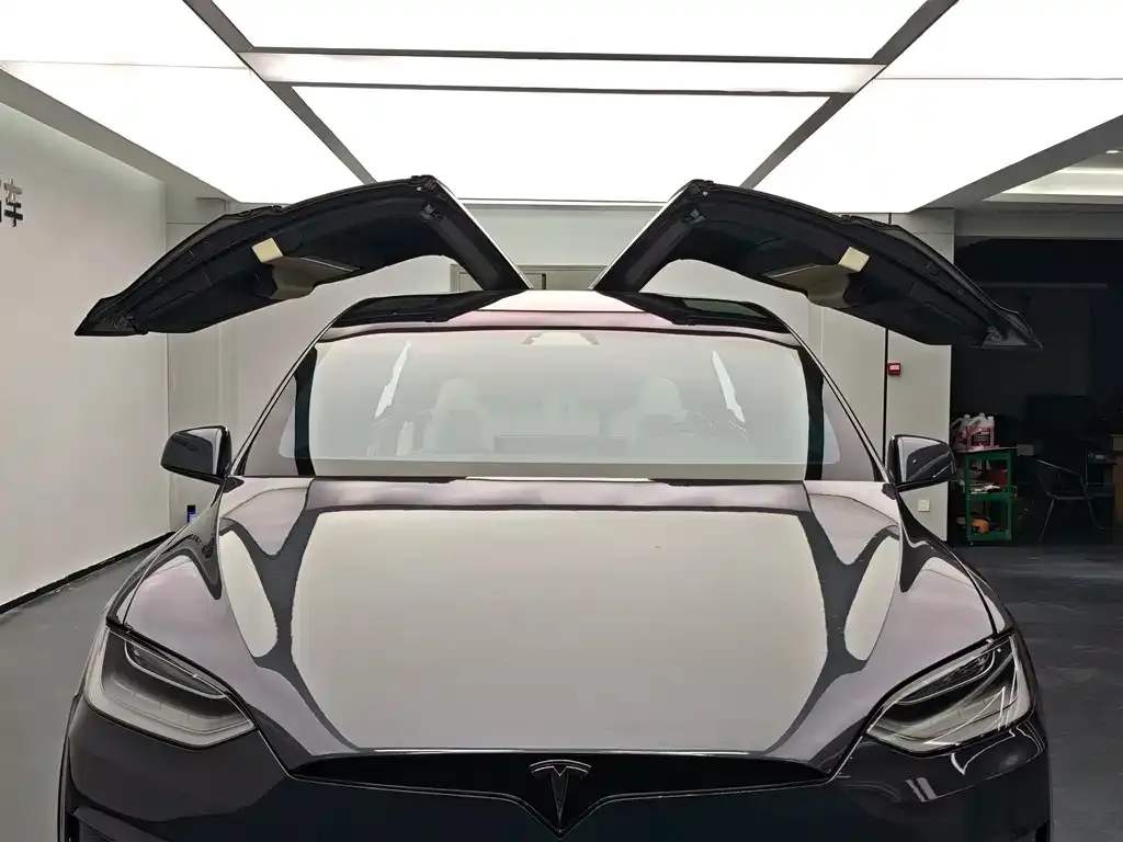 Tesla Model X 2023 из CN, фото 10