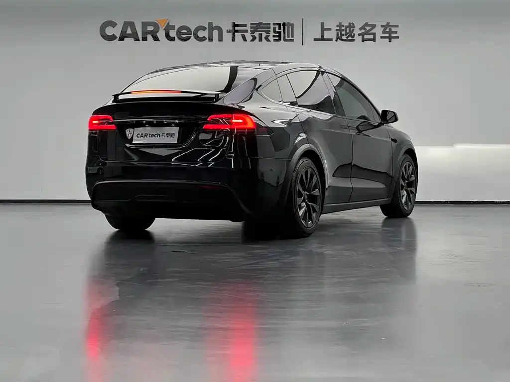 Tesla Model X 2023 из CN, фото 4