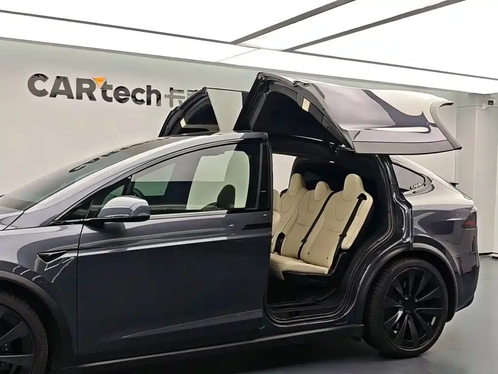 Tesla Model X 2023 из CN, фото 8