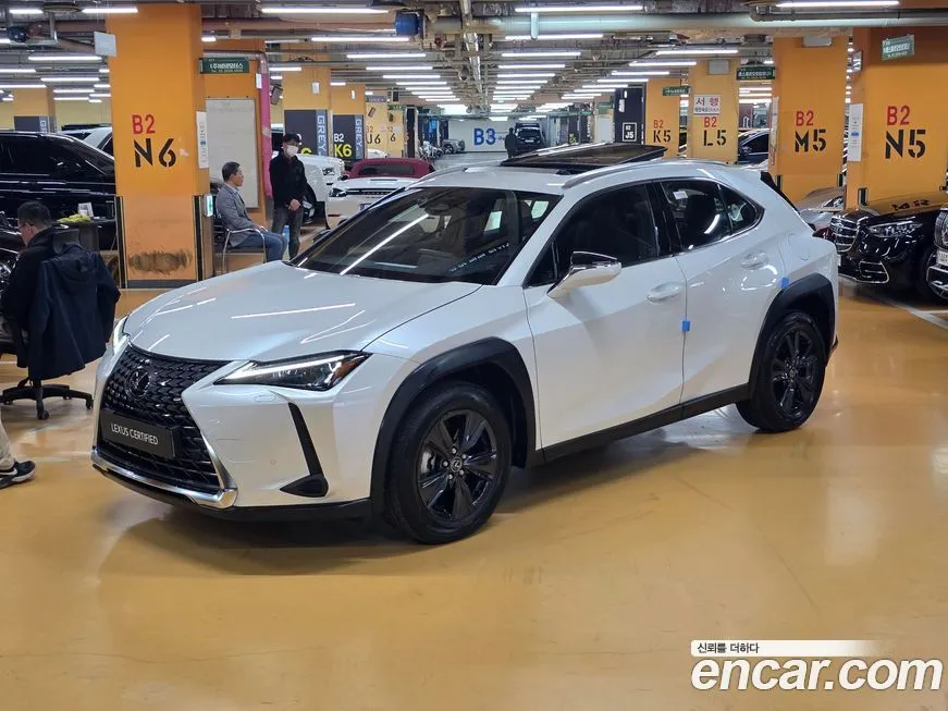 Lexus UX 2025 из KR, фото 1