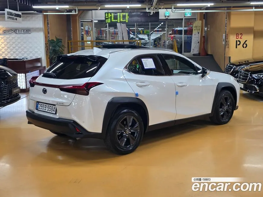 Lexus UX 2025 из KR, фото 2
