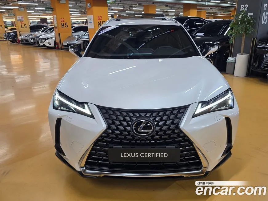 Lexus UX 2025 из KR, фото 3