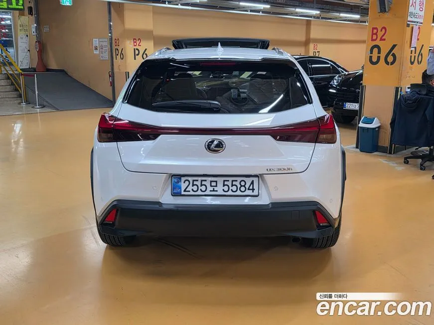 Lexus UX 2025 из KR, фото 4