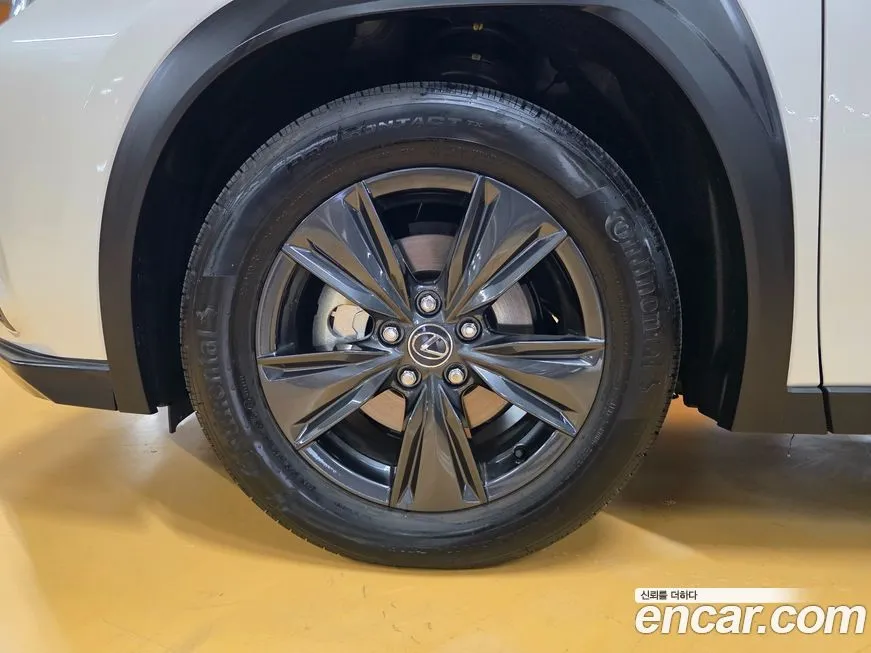 Lexus UX 2025 из KR, фото 5