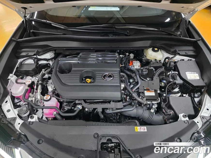 Lexus UX 2025 из KR, фото 6