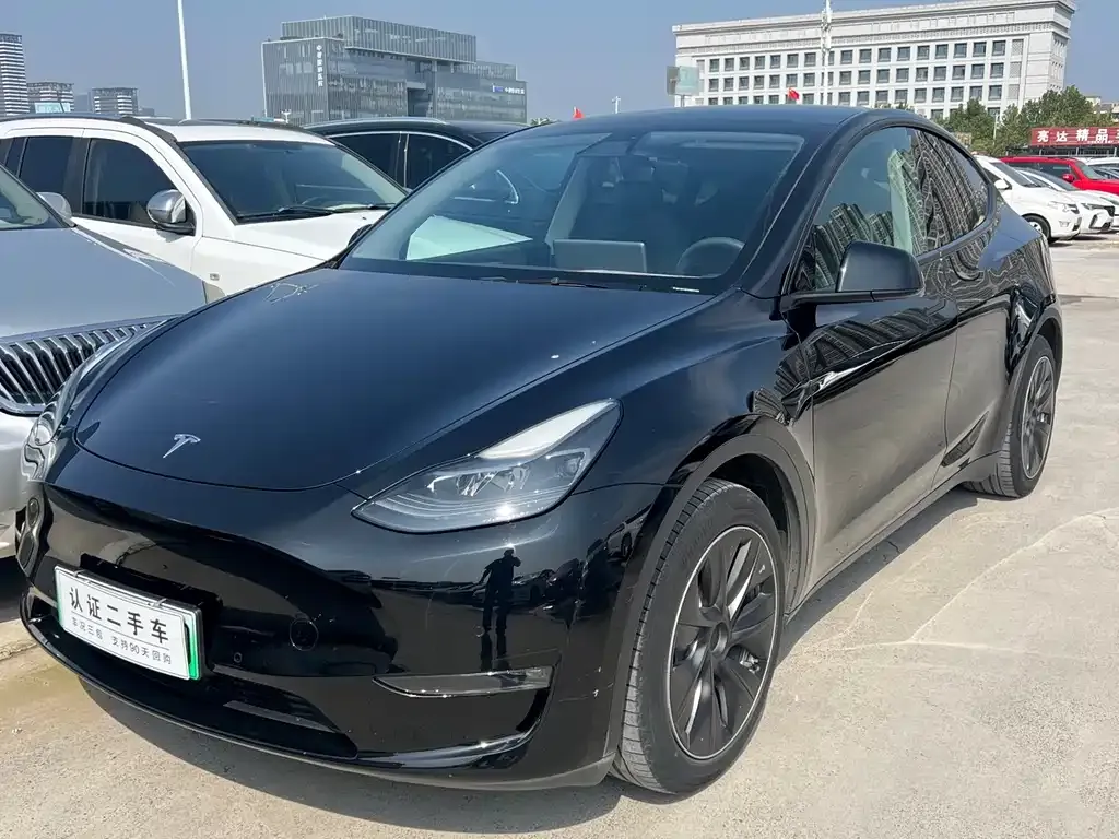 Tesla Model Y 2021 из CN, фото 1