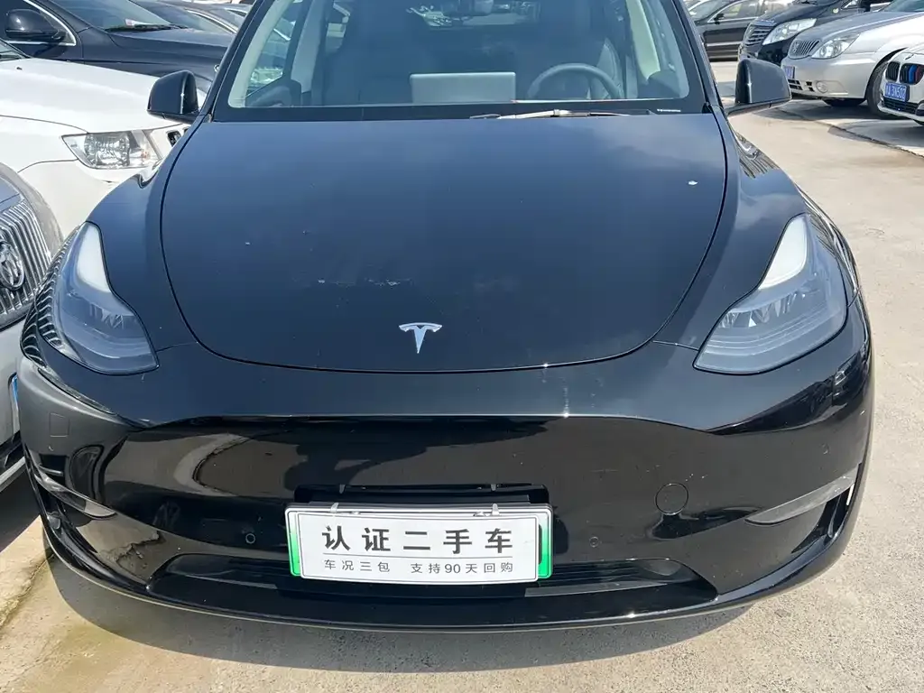 Tesla Model Y 2021 из CN, фото 2