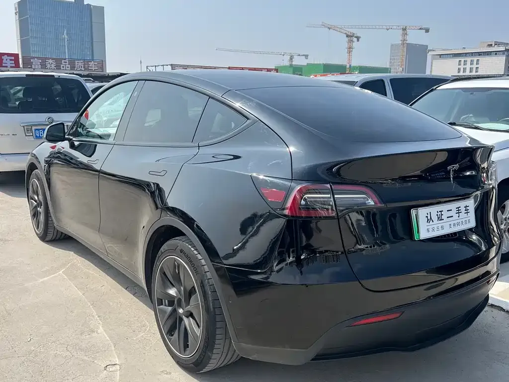 Tesla Model Y 2021 из CN, фото 3