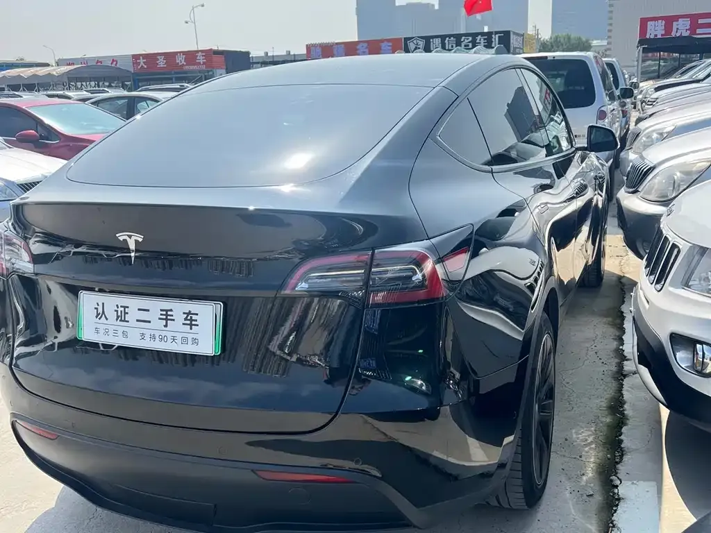 Tesla Model Y 2021 из CN, фото 5