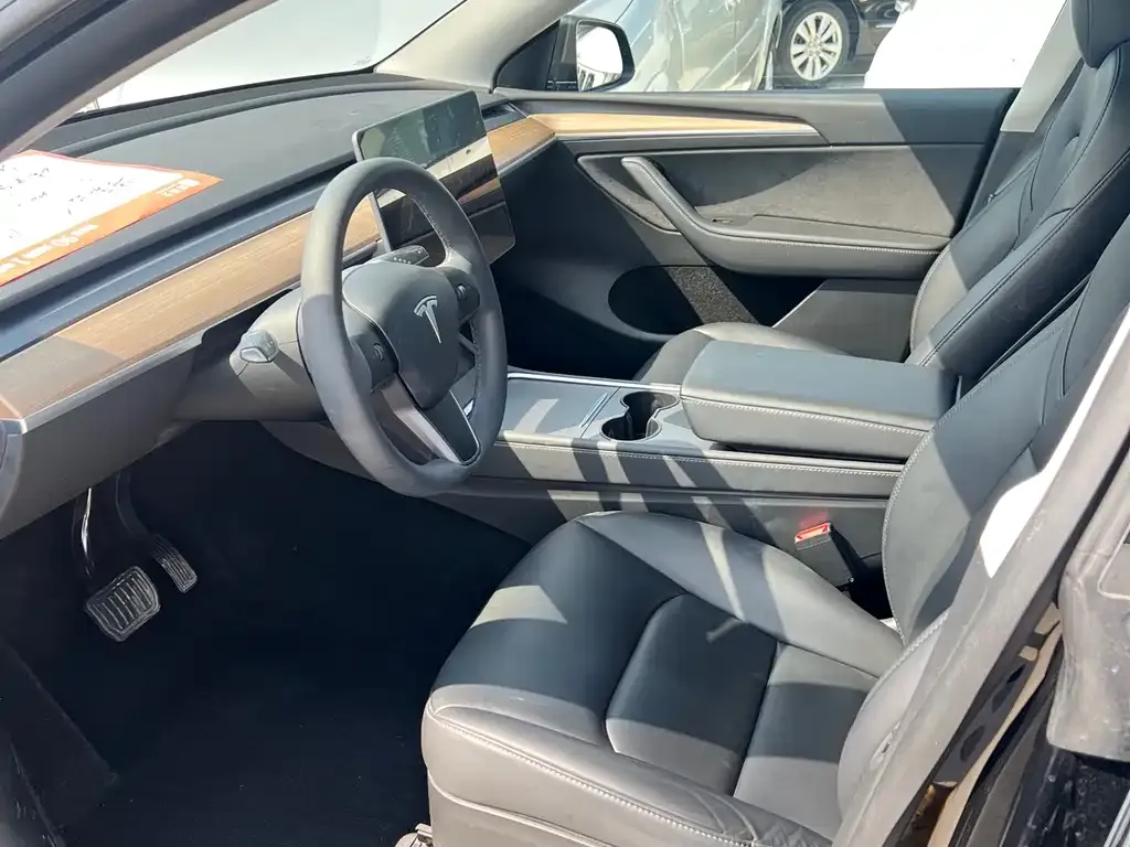 Tesla Model Y 2021 из CN, фото 7